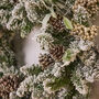 Winter Meadow Christmas Door Wreath, thumbnail 3 of 4