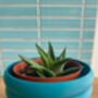 3D Printed Bubble Plant Pot – Gardening Gifts, thumbnail 4 of 9