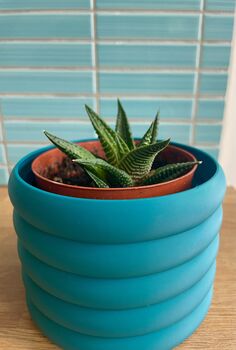 3D Printed Bubble Plant Pot – Gardening Gifts, 4 of 9