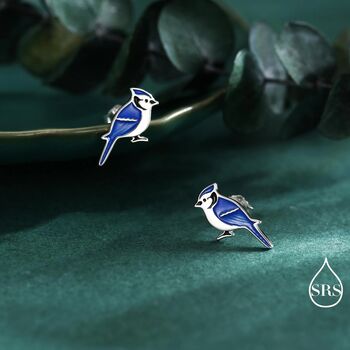 Blue Jay Sterling Silver Stud Earrings, 4 of 11