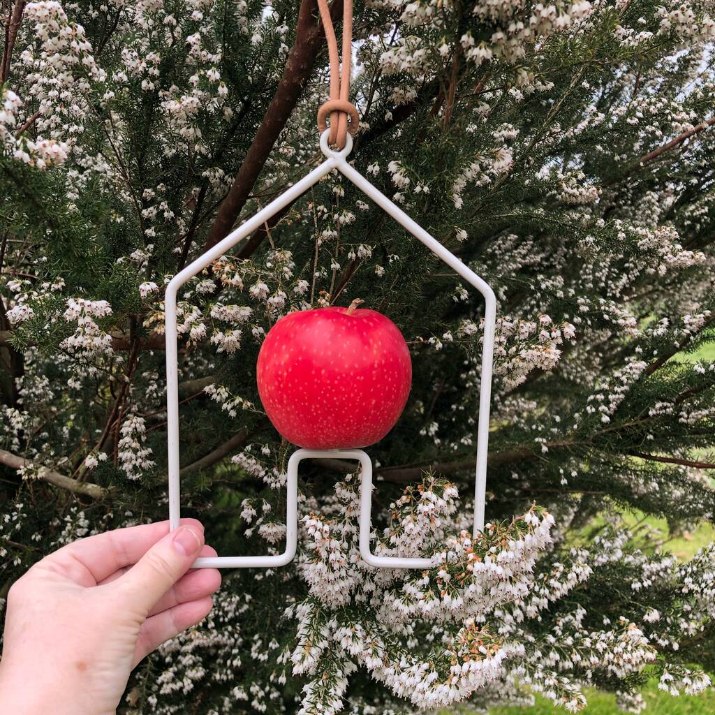 House Shaped Bird Feeder Wildflower Seeds By Border in a Box