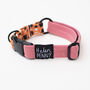 Pink Orange Terrazzo • Padded Dog Collar, thumbnail 3 of 7