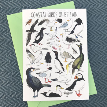 Coastal Birds Of Britain Art Blank Greeting Card, 4 of 11