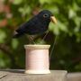 Blackbird Bird On A Bobbin, thumbnail 1 of 3