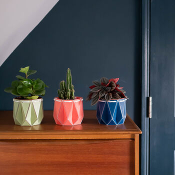 Origami Self Watering Eco Plant Pot: 10cm | Navy, 9 of 9