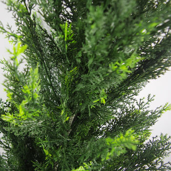 120cm Uv Protected Artificial Cedar Cypress Topiary, 4 of 5