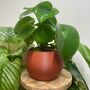 3D Printed Minimalist Round Plant Pot – Lightweight And Durable, thumbnail 2 of 8