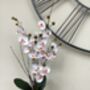 White Mini Artificial Silk Orchid Flower Arrangement Mothers Day Gift, thumbnail 1 of 6