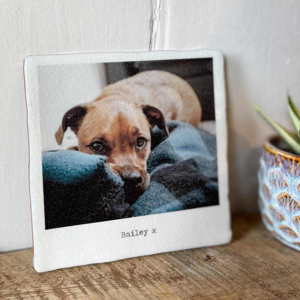 Personalised Crackle Glazed Ceramic Pet Photo Tile, 1 of 3