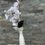 White And Pink Phalenopsis Orchid In Tall Slim Vase, thumbnail 7 of 8