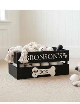 Large Coloured Dog Toy Storage Box With Raised Design, 6 of 11