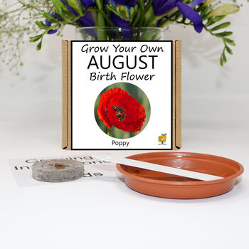 Unusual Birthday Gardening Gift. August Birth Flower, 2 of 6