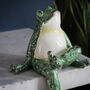 Frog Shelf Sitter, thumbnail 2 of 4