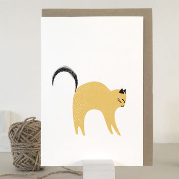 Cats Boxed Greeting Card Set, 7 of 12