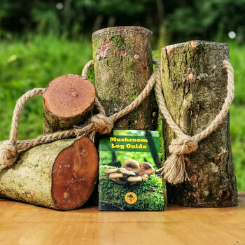 Ready To Grow Gourmet Mushroom Log Large, 3 of 12