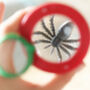 Bug Viewer Toy, thumbnail 2 of 2