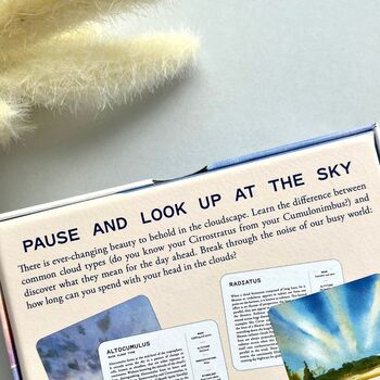 30 Cloud Spotter Cards, 4 of 4