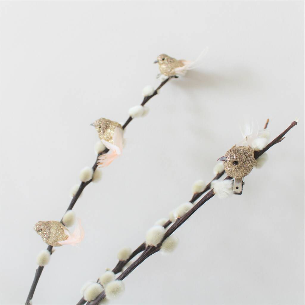 Set Of Four Glitter Clip On Bird Decoration By Ella James