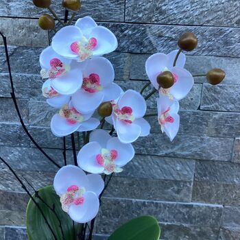 White And Pink Artificial Orchid Grey Pot Mothers Day Gift, 2 of 5