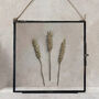 Vintage Pressed Flower Frame: Natural Wheat Large, thumbnail 3 of 7