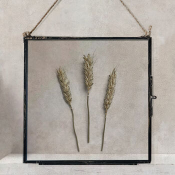 Vintage Pressed Flower Frame: Natural Wheat Large, 3 of 7