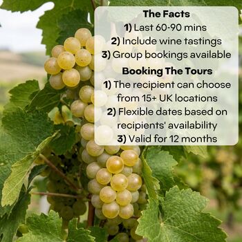 Vineyard Tour And Wine Tasting Experience For Two | 15+ UK Locations, 2 of 7