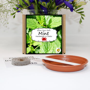Herb Garden Mint Growing Kit. Gardening Gift, 2 of 4