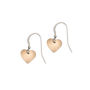 Small Rose Gold Colour Aluminium Heart Earrings, thumbnail 1 of 2