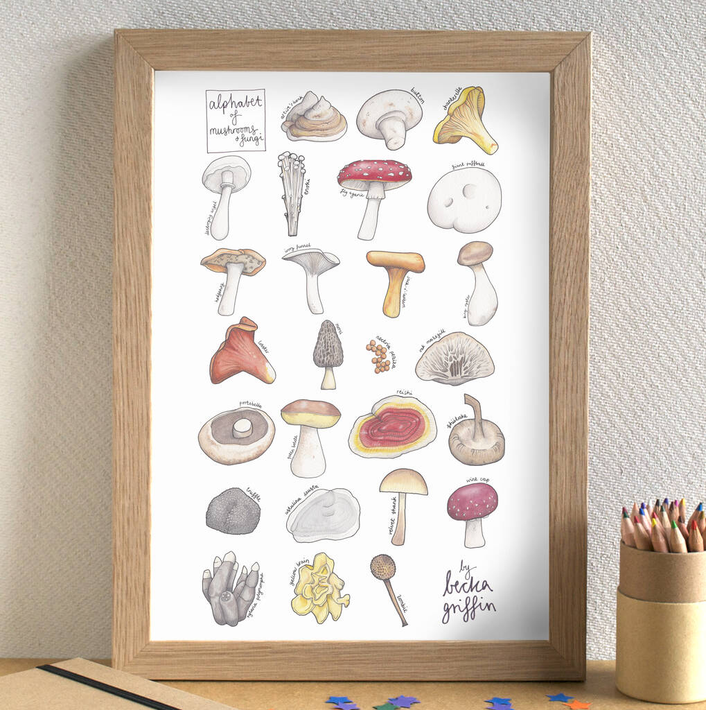 Mushroom Alphabet Print Unframed By Becka Griffin Illustration ...