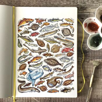 Sea Fish Of Britain Watercolour Postcard, 4 of 9