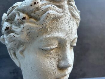 Roman Lady Head Plant Pot Handcrafted In/Outdoor Pot, 3 of 9