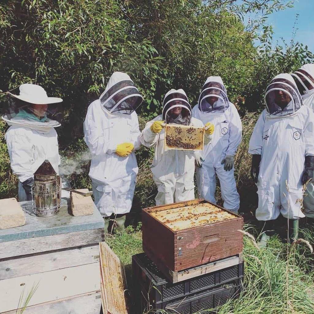 Beekeeping Experience In Rural Hertfordshire, 1 of 4
