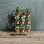 Terracotta Planter Stand, thumbnail 1 of 2