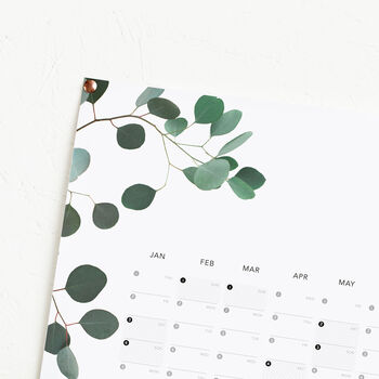2026 Eucalyptus Year, 2 of 3