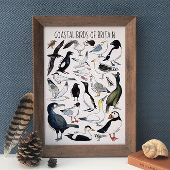 Coastal Birds Of Britain Art Blank Greeting Card, 11 of 11