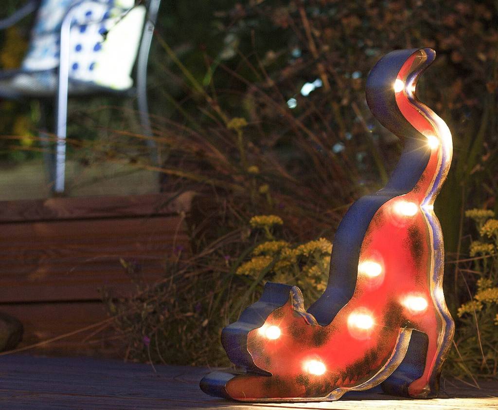 led solar powered cat by garden leisure | notonthehighstreet.com