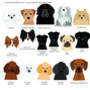 Personalised Dog Breed Keyring, thumbnail 8 of 12