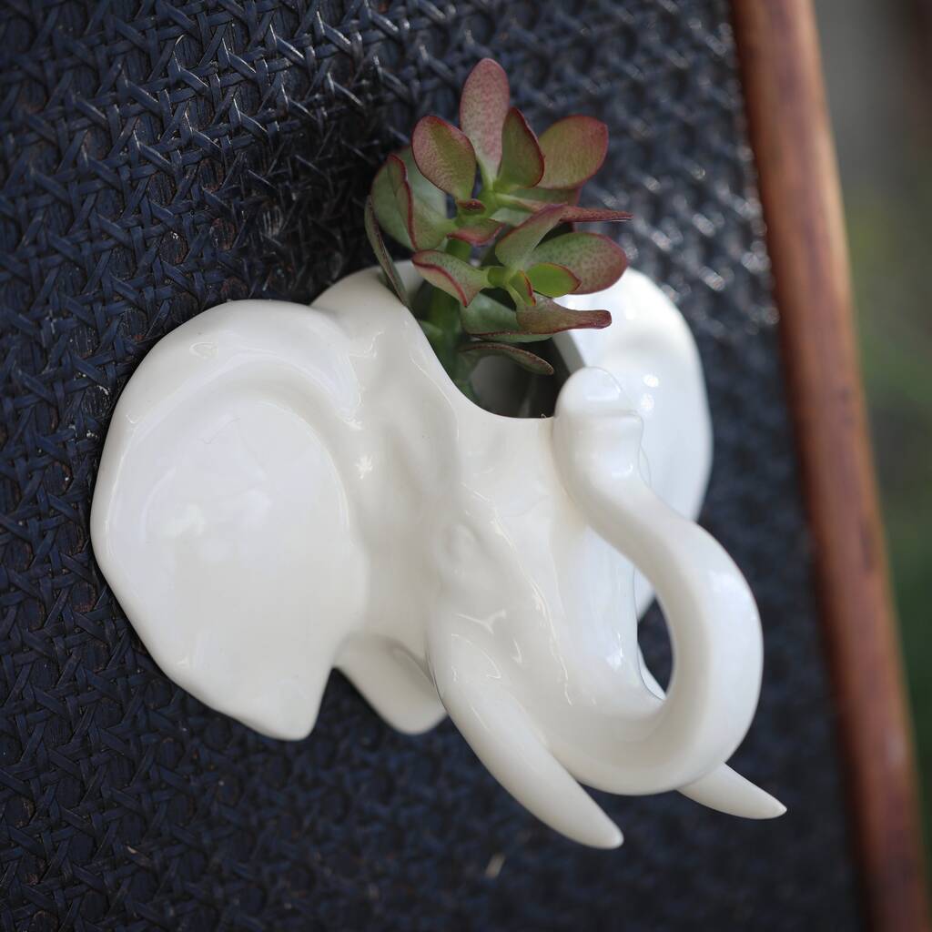 Elephant Wall Hanging Planter With Choice Of Plant By Dinga Ding