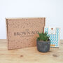 Personalised Indoor Plant And Chocolate Gift, thumbnail 3 of 6
