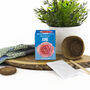 Grow Your Own Birth Flower Choose Your Month, thumbnail 8 of 12