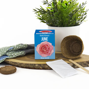 Grow Your Own Birth Flower Choose Your Month, 8 of 12