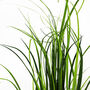 Artificial Grass Plant With Blue Ceramic Planter, thumbnail 5 of 5
