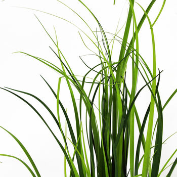 Artificial Grass Plant With Blue Ceramic Planter, 5 of 5