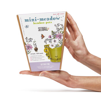 Grow Your Own Mini Wildflower Meadow – Perfect Christmas Gift For Garden Lovers, Nature Enthusiasts And Eco Conscious Friends, 2 of 12