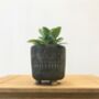 Elegant Houseplant Planter Totem Design, thumbnail 5 of 5