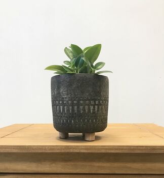 Elegant Houseplant Planter Totem Design, 5 of 5