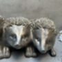 Distressed Silver Hedgehog Planter Cute 33cm Plant Pot, thumbnail 11 of 12