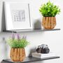 Pack Of Two Artificial Plants In Woven Basket, thumbnail 1 of 7