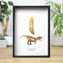 T Rex Carcharodontosaurus Tooth And Watercolour Illustration A4 Box Frame Real Authentic Jurassic Dinosaur Fossil Museum Quality Natural History Interior Design Home Decor Wall Hanging Display Gift Ornament, thumbnail 1 of 5