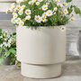 Noma Beige Footed Planter, thumbnail 3 of 4